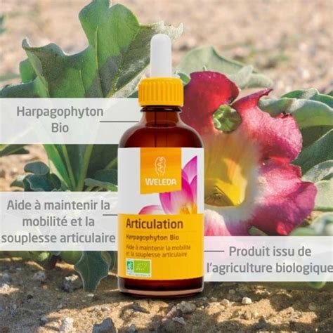 Weleda Harpagophytum Bio Extrait Douleurs Confort Articulaire