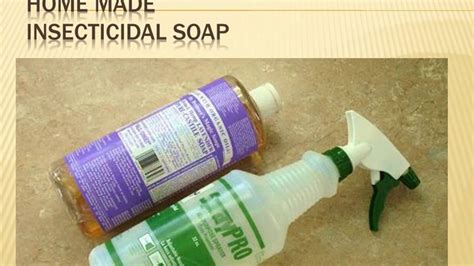 Excellent Homemade Insecticidal Soap Youtube