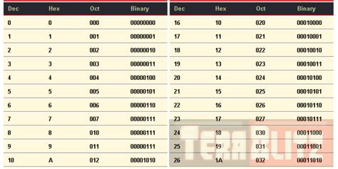 Ascii Table Binary And Hexadecimal Cabinets Matttroy