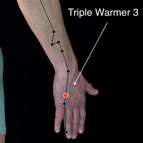 Acupressure Strengthening And Sedating Points Naturegrooves