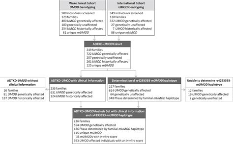 Genetic And Clinical Predictors Of Age Of ESKD In Individuals With