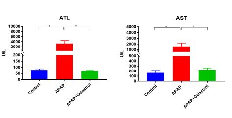 常用的急性肝损伤造模方法，你都知道吗？biomice百奥动物