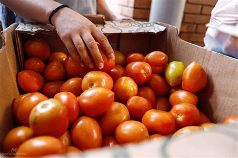 Otra Vez Sube El Precio Del Tomate Y El Mag Desmiente Que Sea Por