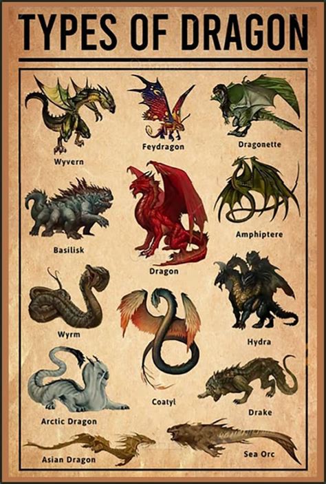 Dragon Identity Chart Art Print On Aluminum Plate Dungeons And Etsy