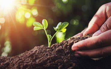 Agricoltura Sostenibile Non Sprecare