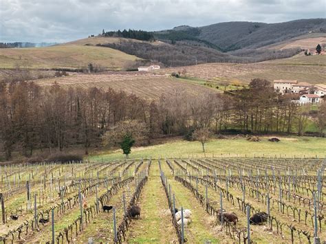 On A Test Une Balade Au Mont Brouilly