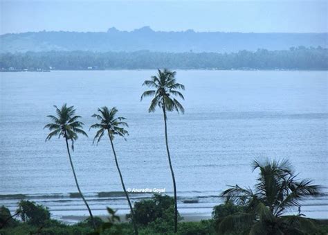 Walk Around Dona Paula Jetty Sunset View Point, Goa - Inditales