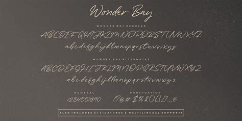 Wonder Bay Font Webfont Desktop Myfonts Artofit