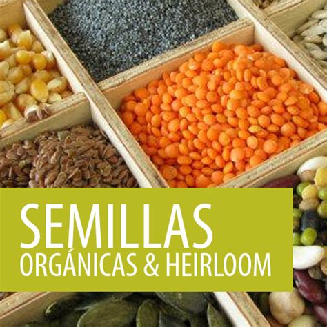 Semillas Heirloom Archives Semillas Orgánicas y semillas raras para