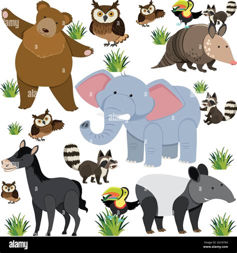 Seamless Pattern With Cute Wild Animals On White Background