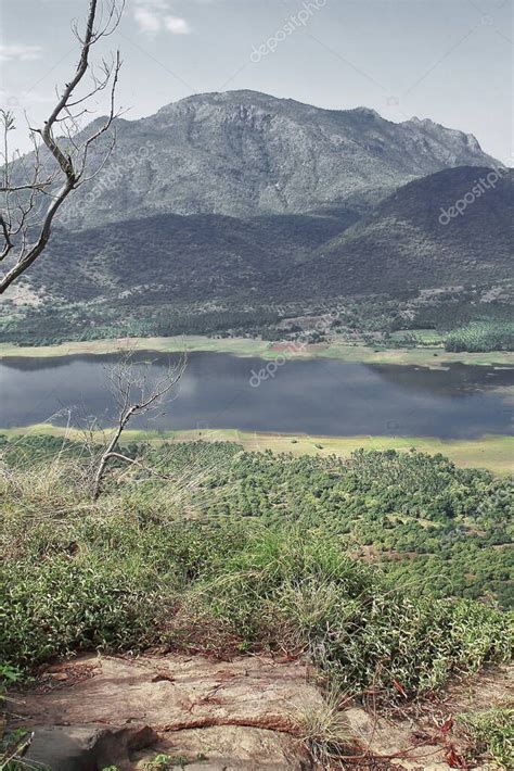 Aves Vista De Las Colinas Palani Esc Nicas Y El Lago Presa Manjalar