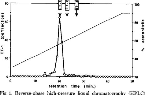 Figure 1 From Endothelin 1 A New Autocrine Paracrine Factor In Rat