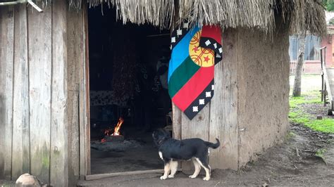 Mapuche Una Historia De Resistencia Y Rebeld A