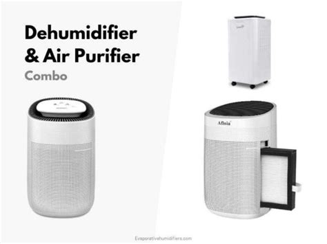 Best Dehumidifier and Air Purifier Combo - Buyer's Guide