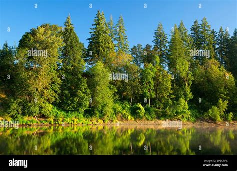 Willamette River, Willamette Mission State Park, Oregon Stock Photo - Alamy