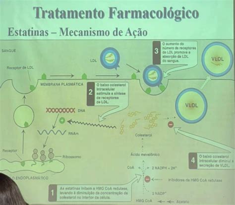 Tratamento De Dislipidemias Quizlet