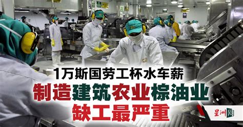 Sin Chew Daily 星洲日報 On Twitter 分析员认为，缺工问题料难于彻底解决，这可能推动企业开始在营运上减少采用劳工