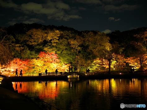 徳川園 紅葉ライトアップ ⑧ By Kite Hour （id：10809018） 写真共有サイトphotohito