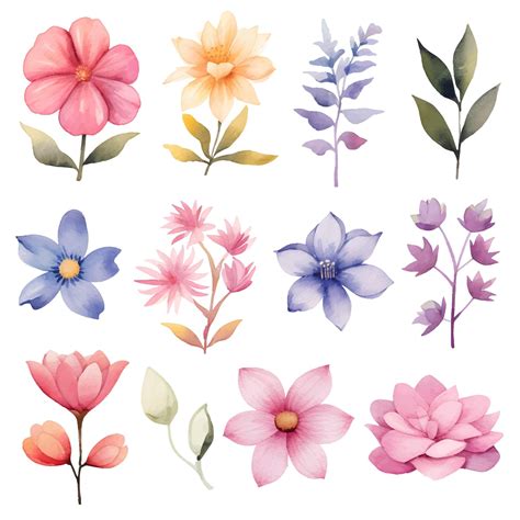 Premium Vector | Watercolor painted flowers set