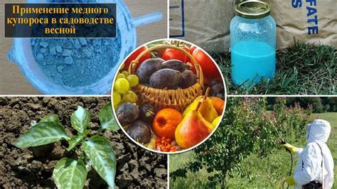 Медный купорос - применение в садоводстве
