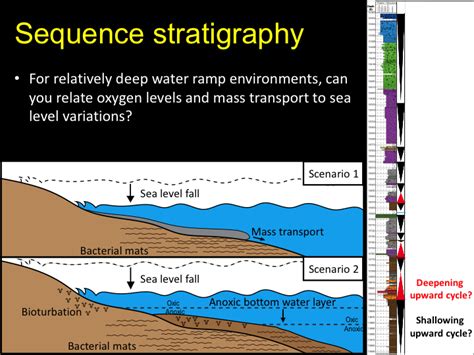 Lithofacies and Geochemical Properties of the East Texas Smackover ...