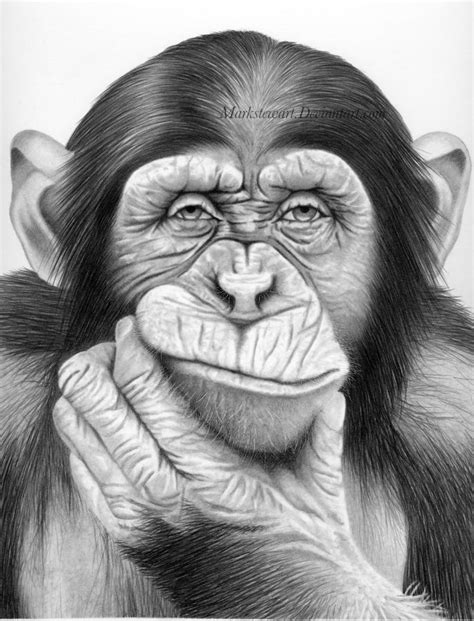 Grandes artistas del dibujo • | Pencil drawings of animals, Pencil drawings tumblr, Pencil drawings