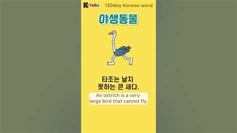 도마뱀 타조 사슴 한국어 배우기 한국어 단어 익히기 Learn Korean Talk To Me In Korean