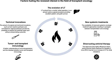 Transplant Oncology Current Indications And Strategies To Advance The Field Jhep Reports