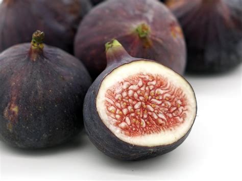 1,000+ Free Fig & Fig Tree Images - Pixabay