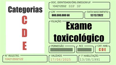 Exame toxicológico Quem precisa fazer Quando deve ser feito Qual é a