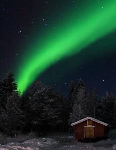 Aurora Borealis, Northern Sweden Winter Christmas, Christmas Themes ...