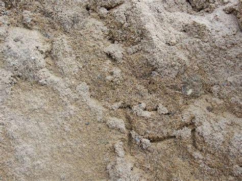 Wet Sand On The Bank Of The River. Clayey Soil After Rain. Stock Image ...