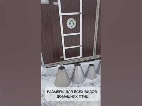 👍КОНУСЫ ДЛЯ УБОЯ для всех домашних птиц: от перепелов до индюков # ...