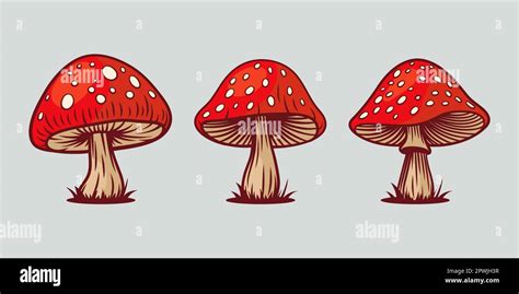 Vector Hand Drawn Mushroom With Outline Icon Set Isolated Amanita