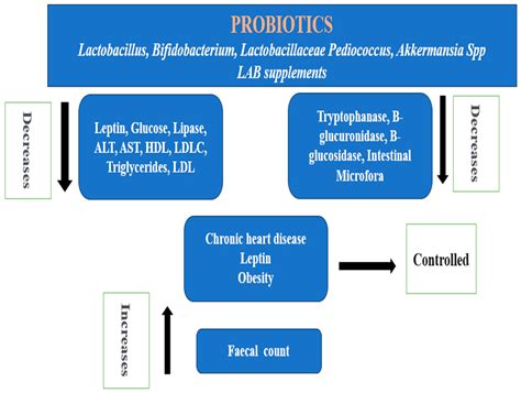 Unraveling the Puzzle: Health Benefits of Probiotics—A Comprehensive Review