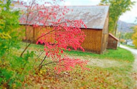 Fall in Dorset Vermont | Dorset vermont, Vermont, Dorset