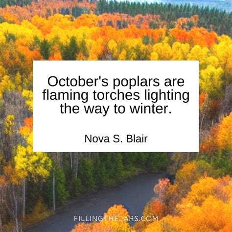 28 Fall Colors Quotes That Prove Autumn Is The Most Beautiful Season ...