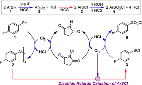 Thiol Chlorination With N Chlorosuccinimide Hcl Catalyzed Release Of