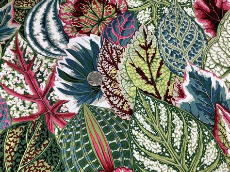 Kaffe Fassett Coleus Green Fabric Free Spirit Fabrics My Favorite Quilt Store