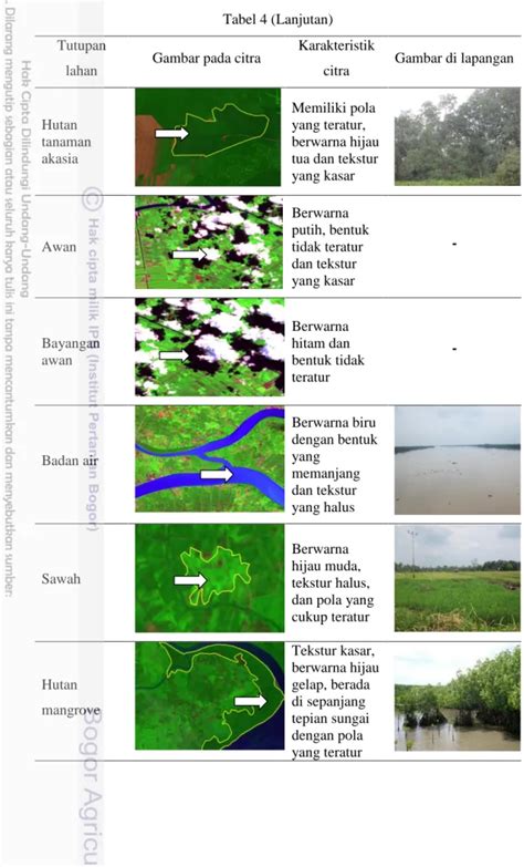 Identifikasi Karakteristik Dan Pemetaan Tutupan Lahan Menggunakan Citra