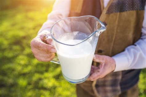 Bienfaits Surprenants Du Lait De Jument Et Pourquoi Lajouter Son