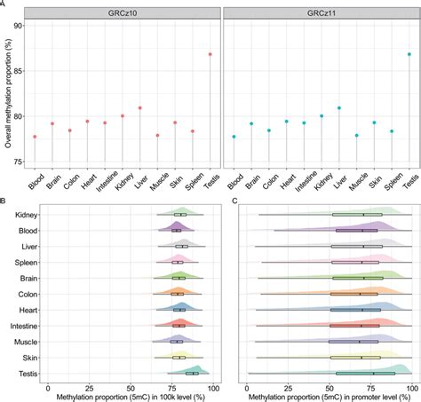 The Distribution Of Methylation Proportion Across Various Zebrafish