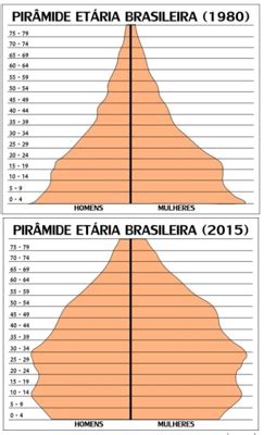 Aio Observe A Seguir As Piramides Etarias Do Brasil