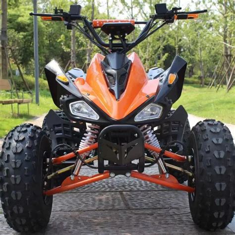 E atv Quad Bike 60v 20A 1000W Buggy de plage à démarrage électrique