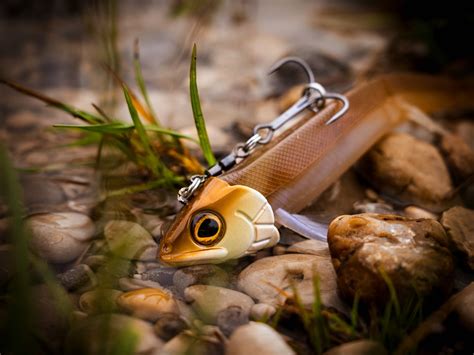 Connecting man and fish | Westin Fishing