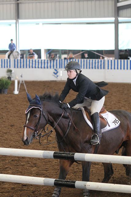 Best of JN: Lines in 5-7-5 If Your Horse Can’t Even | HORSE NATION