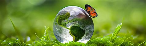 environment share india