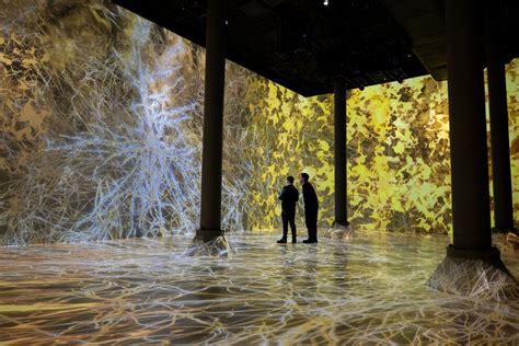 10 Best Immersive Art Experiences in the USA