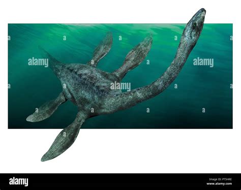 Loch Ness monster underwater, illustration Stock Photo - Alamy