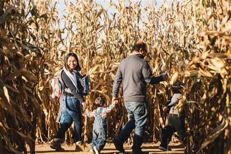 Sever's Fall Festival In Minnesota Is A Classic Fall Tradition